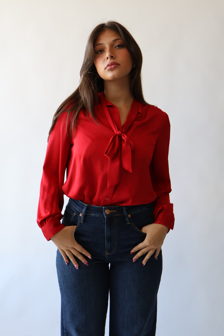 Tie Neck Blouse