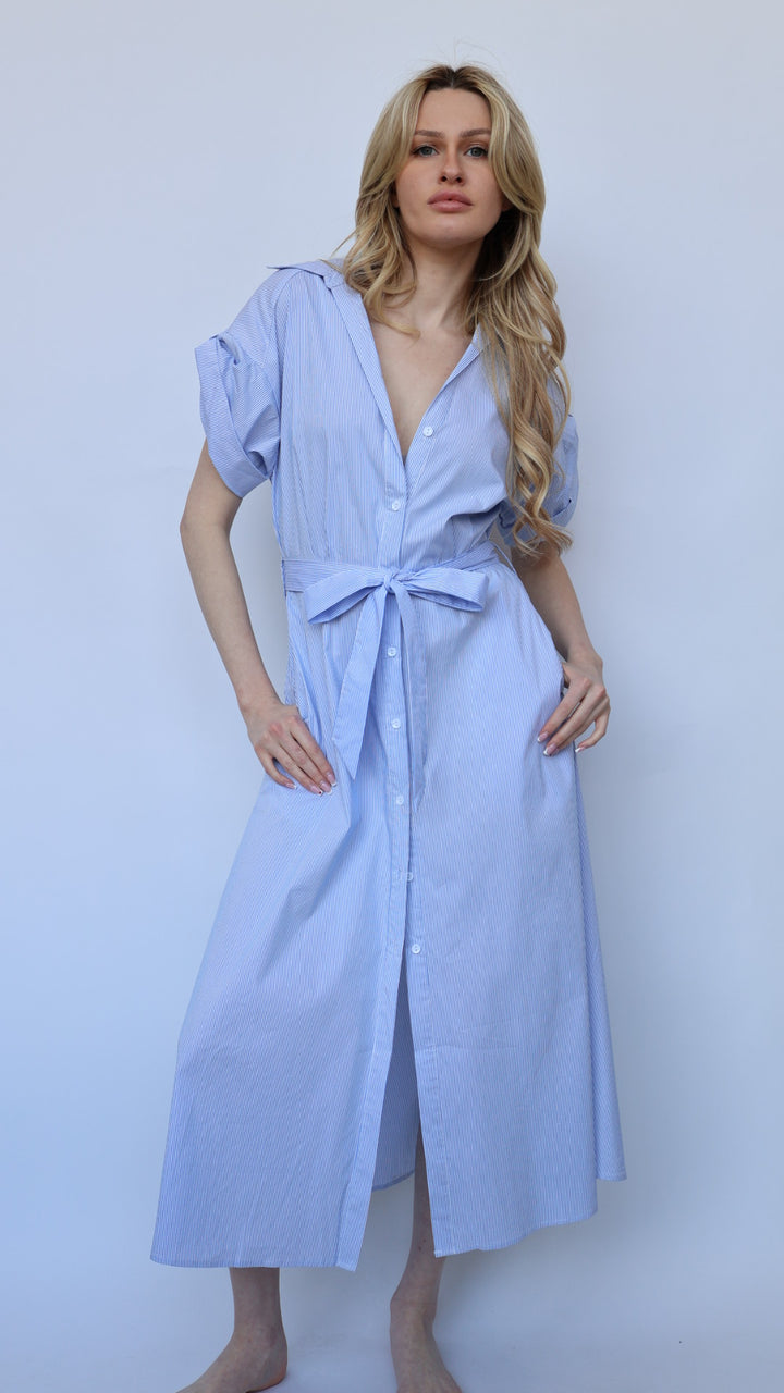 Jaime Collared Button Down Dress