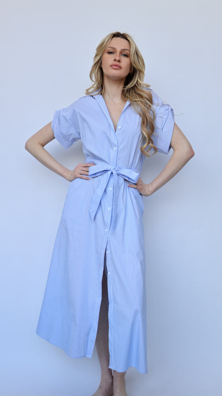 Jaime Collared Button Down Dress