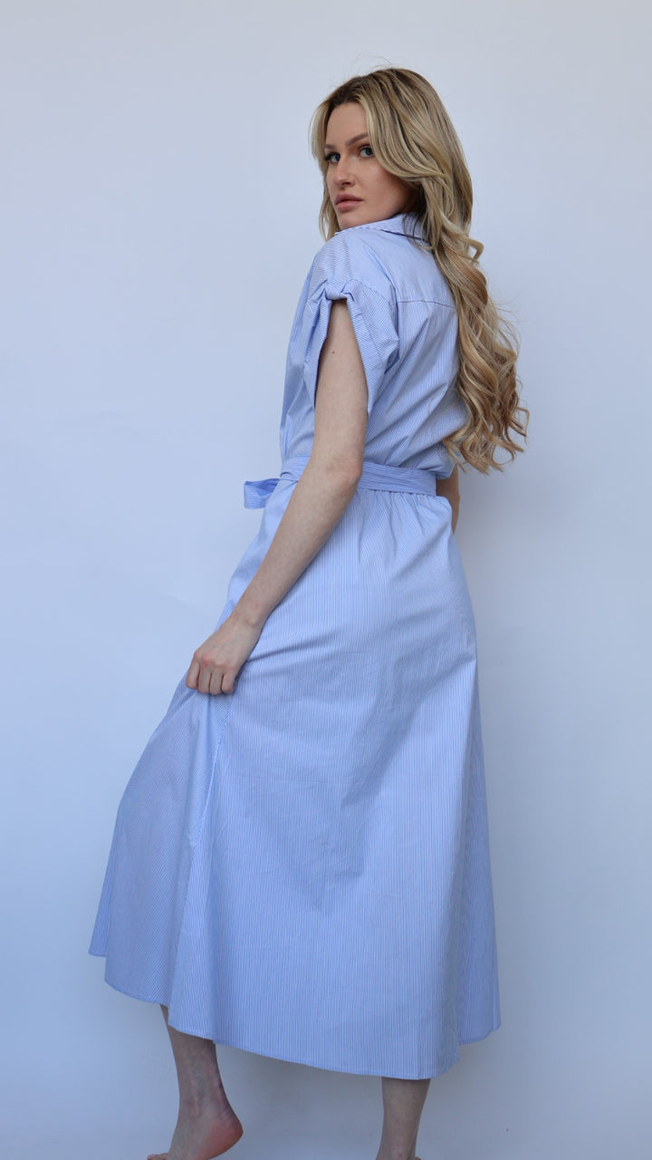 Jaime Collared Button Down Dress