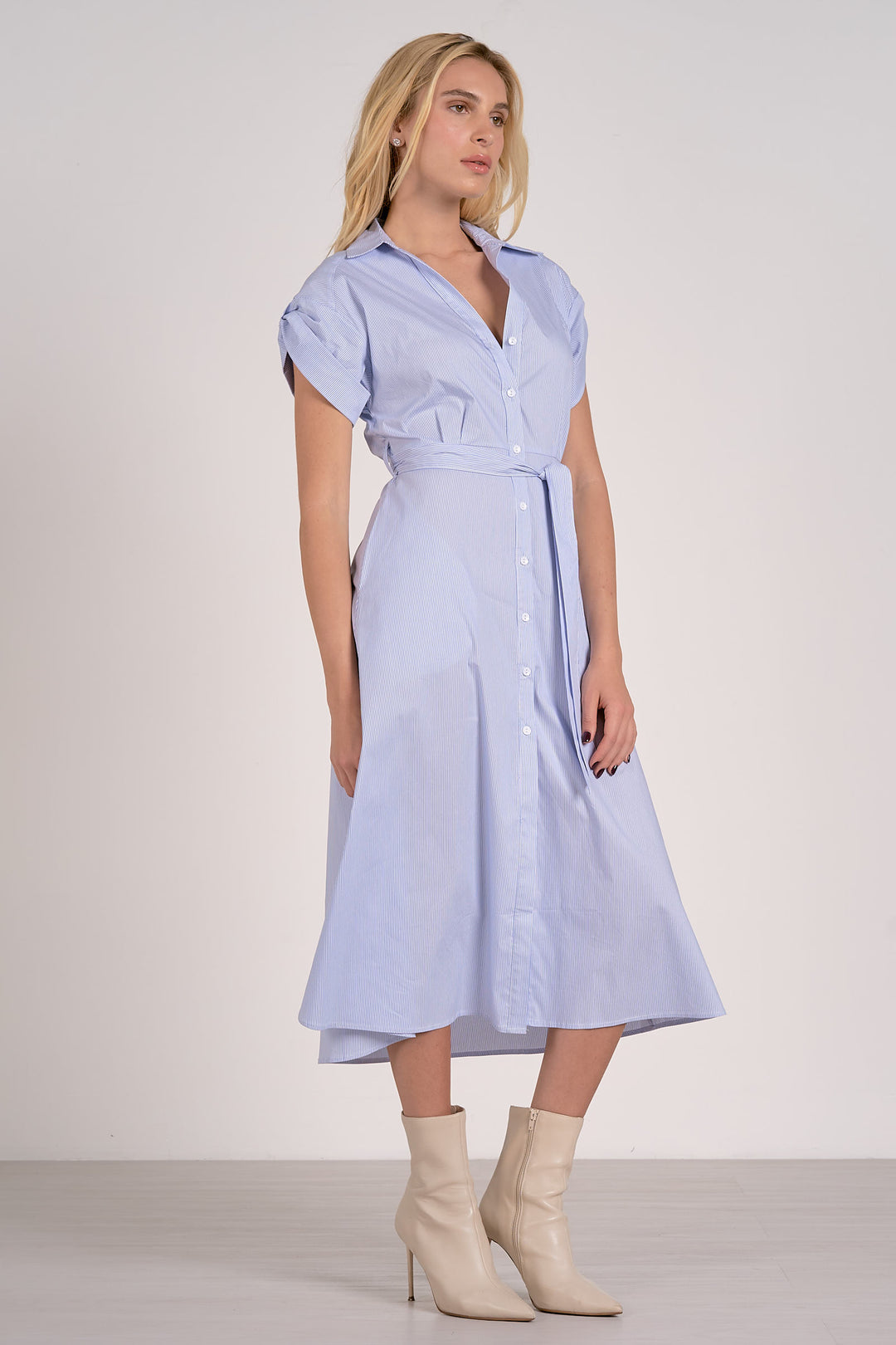 Jaime Collared Button Down Dress